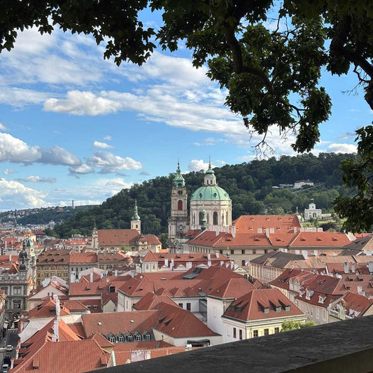 Castle Gardens & Secrets: A Short Prague Adventure (1h15m)