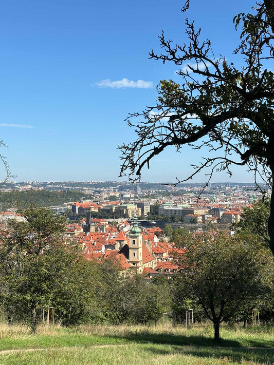 Prague from Above (1h55m)