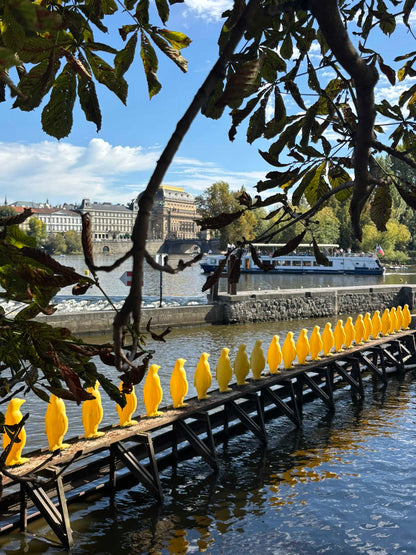 Prague from Above (1h45m)